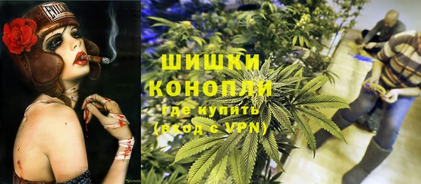 дмт Алзамай