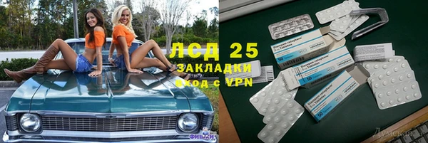 PSILOCYBIN Алексеевка