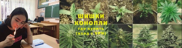 PSILOCYBIN Алексеевка