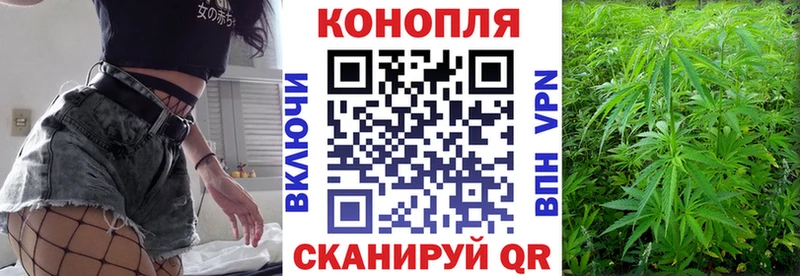 Шишки марихуана марихуана  Дмитриев 